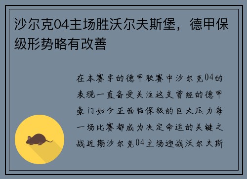 沙尔克04主场胜沃尔夫斯堡，德甲保级形势略有改善
